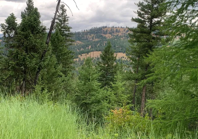 5th image of Tr 11 Whitetail Ridge, Kila, MT 59920 | MLS# 30068096