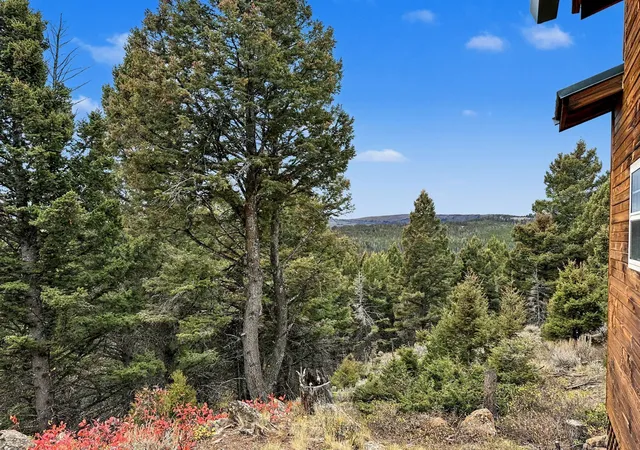 Homes for sale in Ennis, MT | 30 Bunks Trail, Ennis, MT 59729 | MLS# 30068105