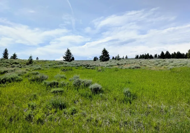 1st image of 127 Panorama Dr, White Sulphur Springs, MT 59645 | MLS# 30067813