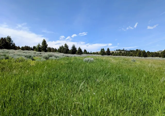 2nd image of 127 Panorama Dr, White Sulphur Springs, MT 59645 | MLS# 30067813