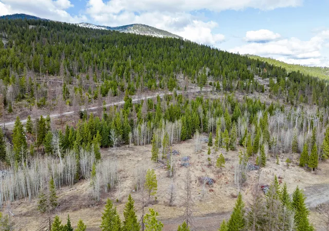 Photo 3 of Land for sale at 991 Haskill Ranch Rd, Kila, MT 59920 | MLS# 30068134 | Listing updated on 2026-07-06