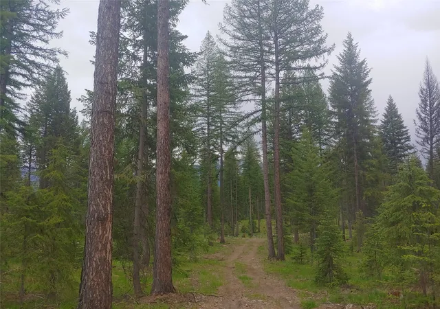 1st image of Nhn Off Styler Dr, Condon, MT 59826 | MLS# 30068176