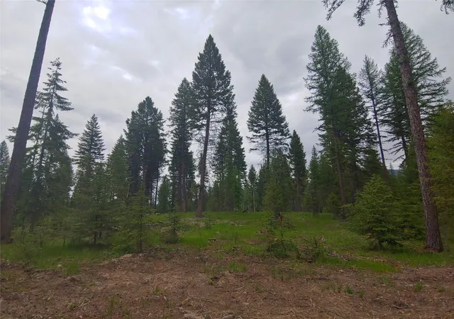 22nd image of Nhn Off Styler Dr, Condon, MT 59826 | MLS# 30068176