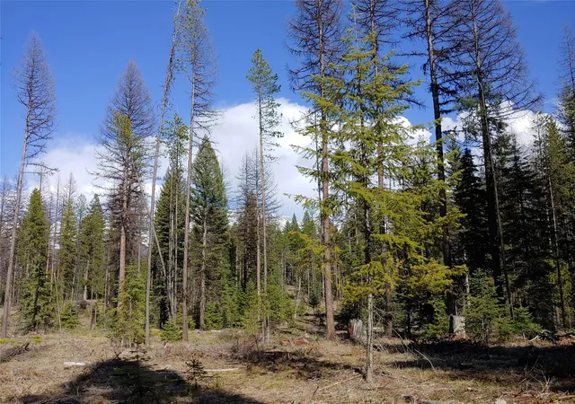 2nd image of Nhn Off Styler Dr, Condon, MT 59826 | MLS# 30068176