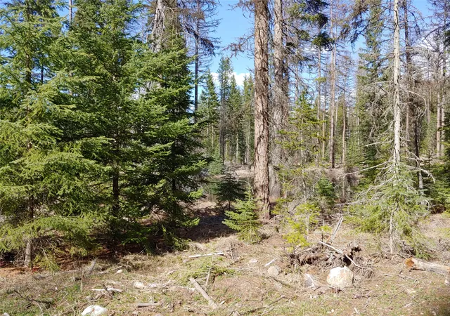 3rd image of Nhn Off-Styler Dr, Condon, MT 59826 | MLS# 30068176