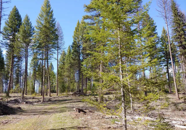 4th image of Nhn Off-Styler Dr, Condon, MT 59826 | MLS# 30068176