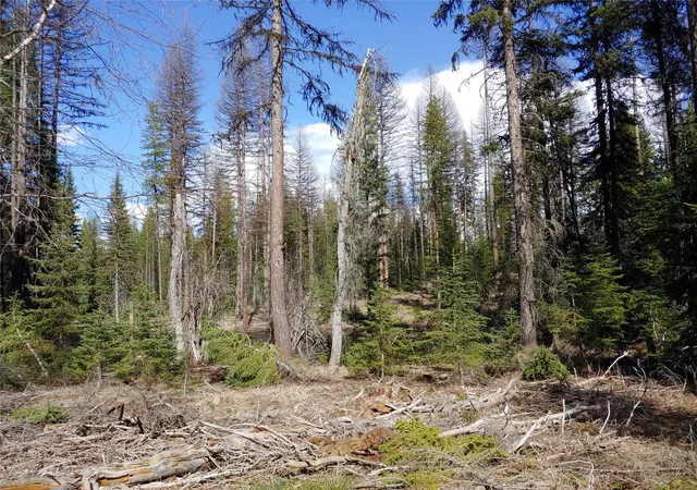 5th image of Nhn Off-Styler Dr, Condon, MT 59826 | MLS# 30068176