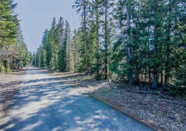 22nd image of Nhn Kootenai River Rd, Troy, MT 59935 | MLS# 30068282