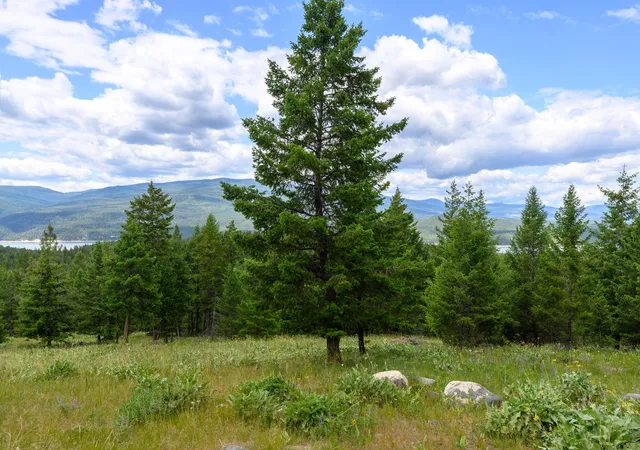 1st image of Nhn Linda Vista Dr, Rexford, MT 59930 | MLS# 30068318