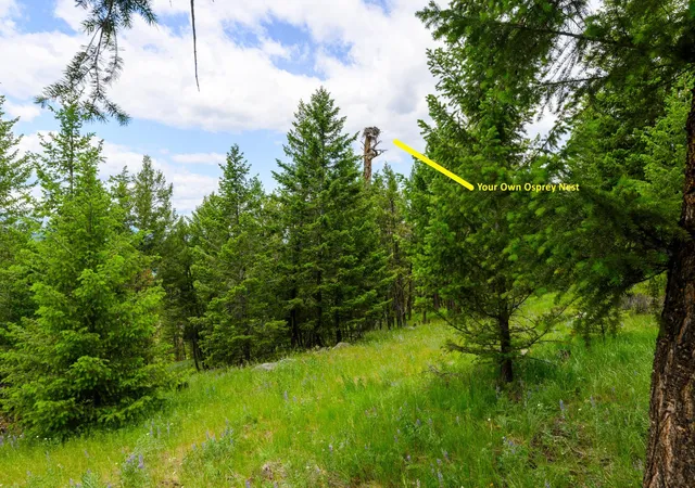 33rd image of Nhn Linda Vista Dr, Rexford, MT 59930 | MLS# 30068318