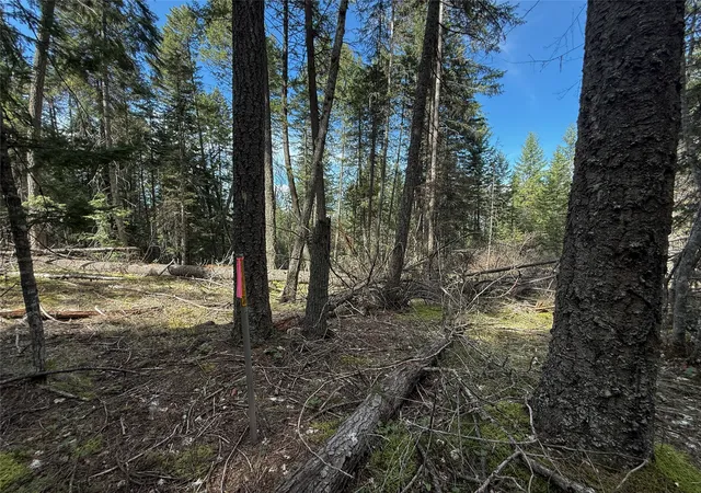 Homes for sale in Thompson Falls, MT | N/a Wapiti Point Rd, Thompson Falls, MT 59873 | MLS# 30068263