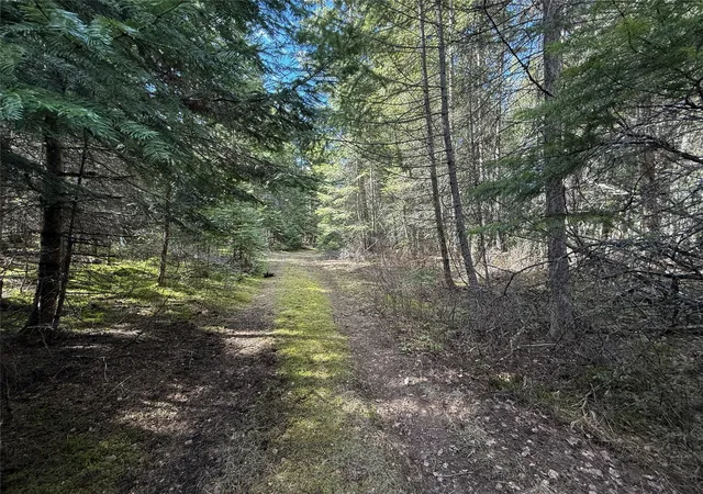 Homes for sale in Thompson Falls, MT | N/A Wapiti Point Rd, Thompson Falls, MT 59873 | MLS# 30068263