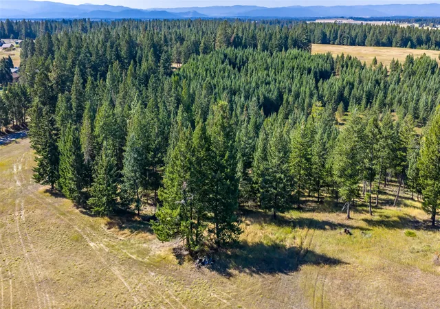 46th image of Nhn Blaine View Ln, Kalispell, MT 59901 | MLS# 30068287