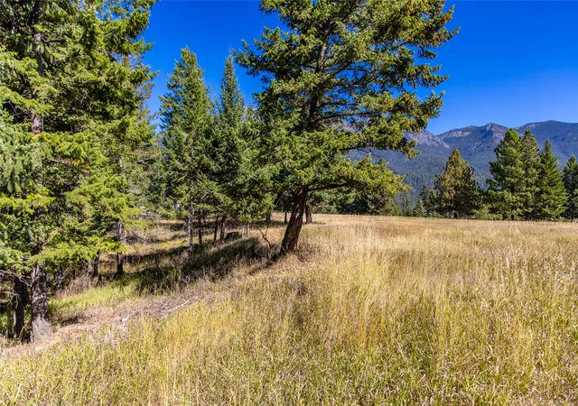 5th image of Nhn Blaine View Ln, Kalispell, MT 59901 | MLS# 30068287