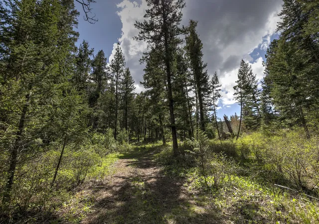 Homes for sale in Lolo, MT | 13275 Balsamroot Rd, Lolo, MT 59847 | MLS# 30068369