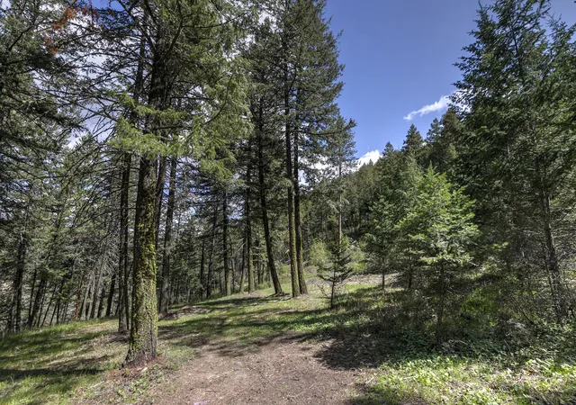 Homes for sale in Lolo, MT | 13275 Balsamroot Rd, Lolo, MT 59847 | MLS# 30068369