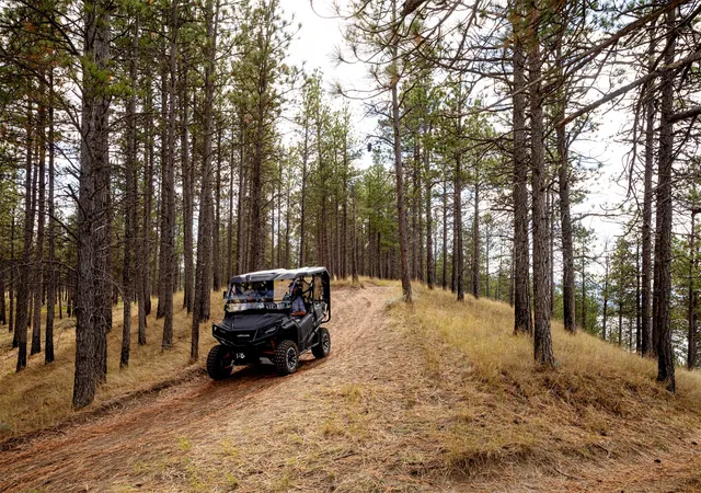 63rd image of 37 Keel Ct, Eureka, MT 59917 | MLS# 30068302