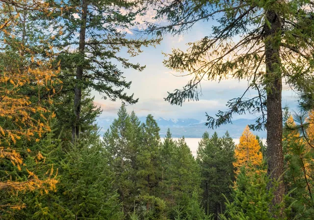 3rd image of 155 Wulff Ln, Lakeside, MT 59922 | MLS# 30068326