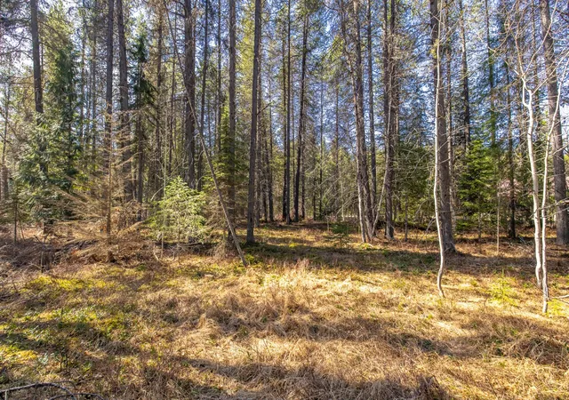 3rd image of Nhn Rabe Rd, Columbia Falls, MT 59912 | MLS# 30068453