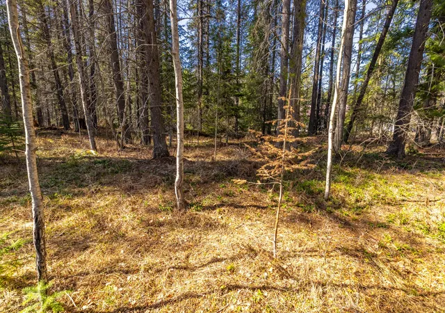 4th image of Nhn Rabe Rd, Columbia Falls, MT 59912 | MLS# 30068453