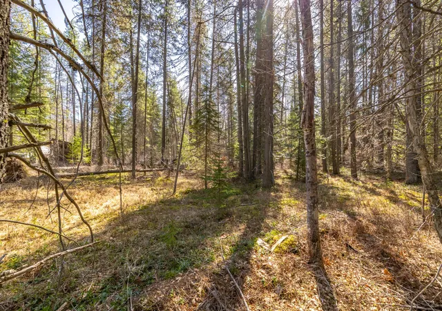 5th image of Nhn Rabe Rd, Columbia Falls, MT 59912 | MLS# 30068453