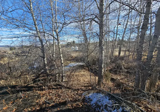 Homes for sale in Gold Creek, MT | 198 Mullan Trail Land Only, Gold Creek, MT 59733 | MLS# 30068599