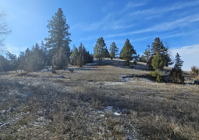 Homes for sale in Gold Creek, MT | 198 Mullan Trail Land Only, Gold Creek, MT 59733 | MLS# 30068599
