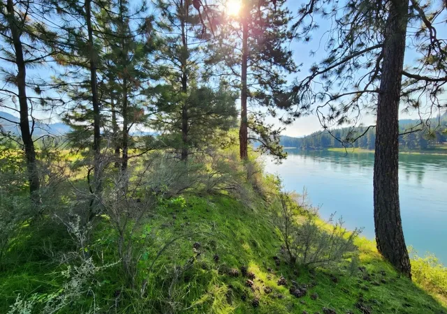 Homes for sale in Plains, MT | Nhn Harbine Ranch Estates #Lot 2, Plains, MT 59859 | MLS# 30068705