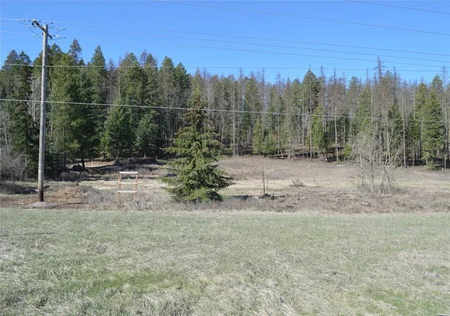 Homes for sale in Whitefish, MT | 4480 Mt Hwy 40 W, Whitefish, MT 59937 | MLS# 30068495