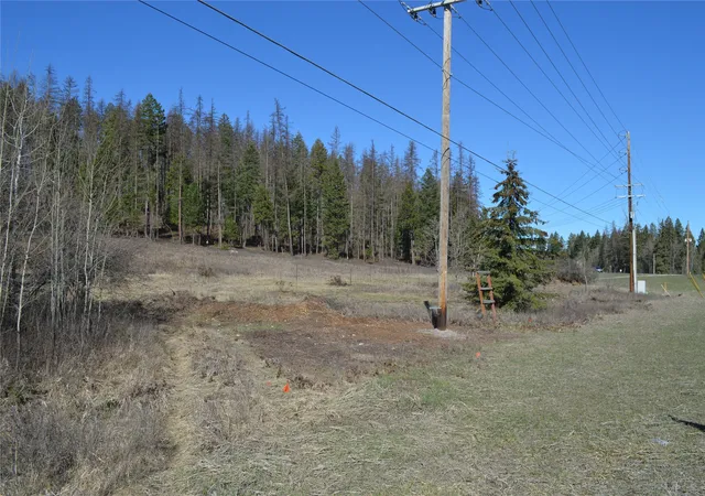 Homes for sale in Whitefish, MT | 4480 Mt Hwy 40 W, Whitefish, MT 59937 | MLS# 30068495