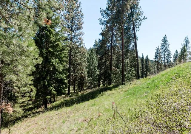 4th image of 37 Red Tail Rdg, Bigfork, MT 59911 | MLS# 30068647