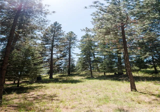 5th image of 37 Red Tail Rdg, Bigfork, MT 59911 | MLS# 30068647