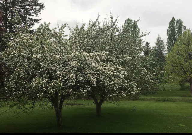 52nd image of 212 Lakeshore Dr, Kalispell, MT 59901 | MLS# 30067658