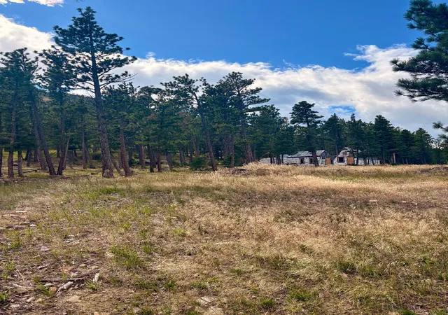 Homes for sale in Wolf Creek, MT | 4535 Little Wolf Creek Rd, Wolf Creek, MT 59648 | MLS# 30060521