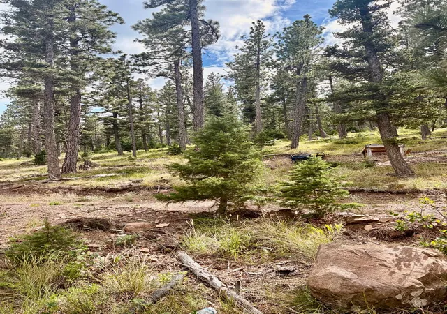 Homes for sale in Wolf Creek, MT | 4535 Little Wolf Creek Rd, Wolf Creek, MT 59648 | MLS# 30060521