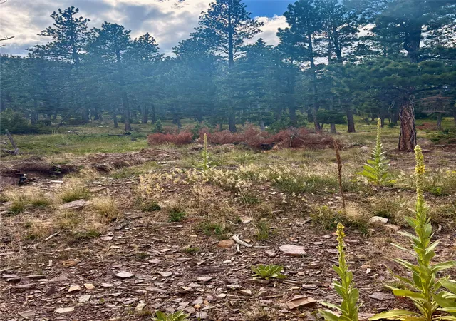 Homes for sale in Wolf Creek, MT | 4535 Little Wolf Creek Rd, Wolf Creek, MT 59648 | MLS# 30060521