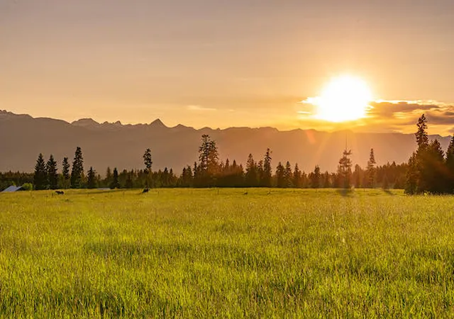 25th image of 2705 Rumble Creek Rd, Condon, MT 59826 | MLS# 30065785