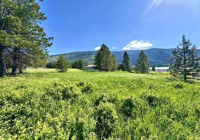Photo 1 of Land for sale at 10 Timber Ln, Trout Creek, MT 59874 | MLS# 30068883 | Listing updated on 2026-07-13