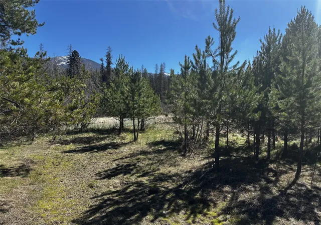 19th image of 186 Tailback Rd, Troy, MT 59935 | MLS# 30068290