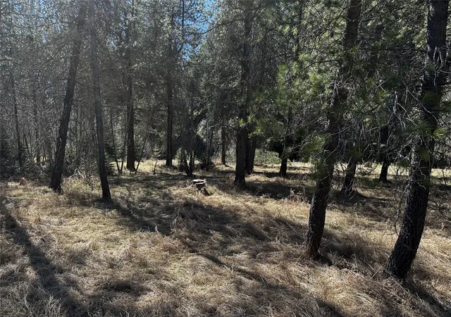 5th image of 186 Tailback Rd, Troy, MT 59935 | MLS# 30068290