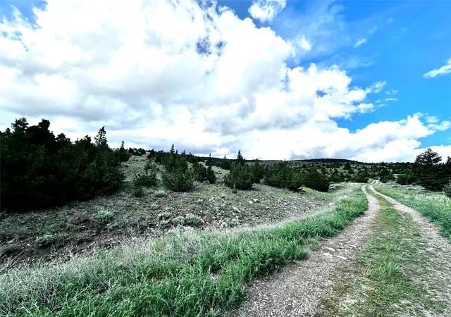 Homes for sale in Virginia City, MT | 199 Lots In Multiple Locations, Virginia City, MT 59755 | MLS# 30068922