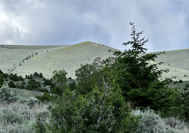 Homes for sale in Virginia City, MT | 199 Lots In Multiple Locations, Virginia City, MT 59755 | MLS# 30068922