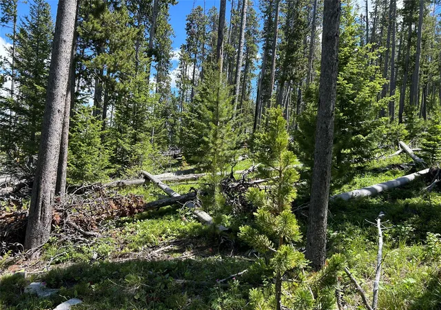 Homes for sale in White Sulphur Springs, MT | Nhn Heitman, White Sulphur Springs, MT 59645 | MLS# 30068894