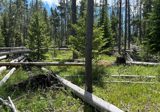 Homes for sale in White Sulphur Springs, MT | Nhn Spencer, White Sulphur Springs, MT 59645 | MLS# 30068890