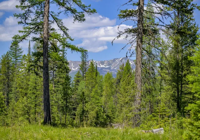1st image of Nhn Lindbergh Lake Rd, Condon, MT 59826 | MLS# 30065781