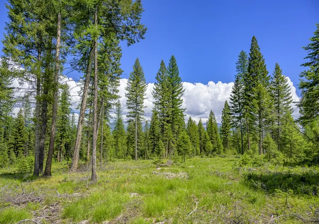 2nd image of Nhn Lindbergh Lake Rd, Condon, MT 59826 | MLS# 30065781