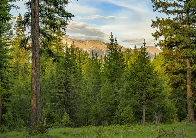 3rd image of Nhn Lindbergh Lake Rd, Condon, MT 59826 | MLS# 30065781