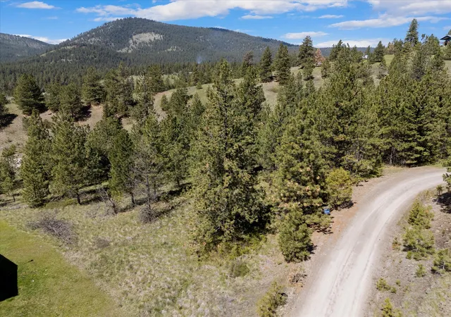 Homes for sale in Polson, MT | 31009 Canyon View Pl, Polson, MT 59860 | MLS# 30068995