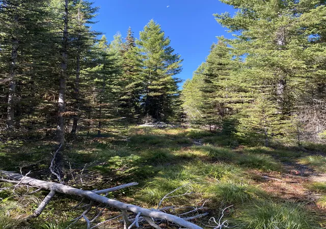1st image of Nhn Mill Creek Rd, Frenchtown, MT 59834 | MLS# 30068876