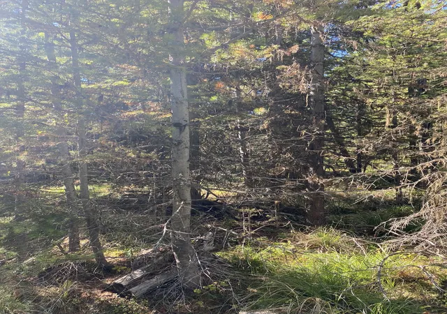 3rd image of Nhn Mill Creek Rd, Frenchtown, MT 59834 | MLS# 30068876